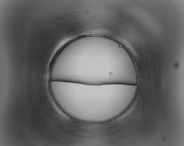 X0000102471079200808081004