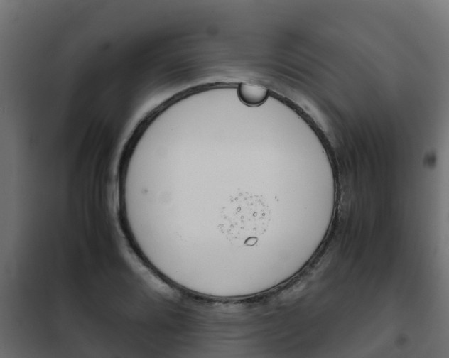 X0000102471080200808081004
