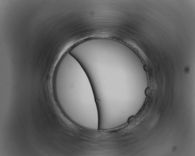 X0000102471083200808081003