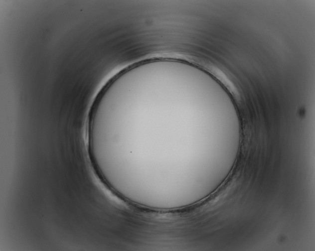 X0000102471084200808081003