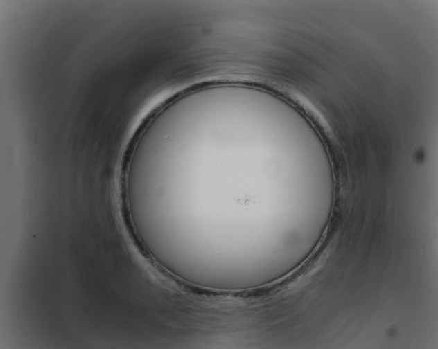 X0000102471085200808081003