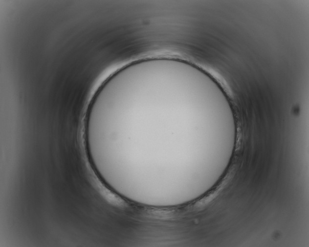 X0000102471086200808081003