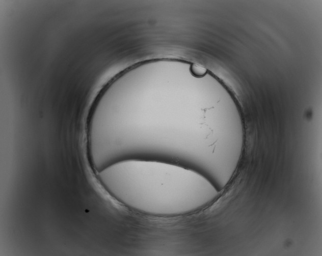 X0000102471088200808081003