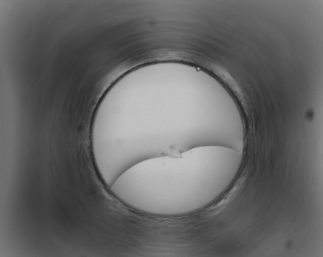 X0000102471089200808081003