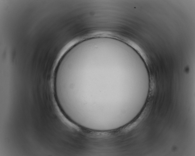 X0000102471090200808081003