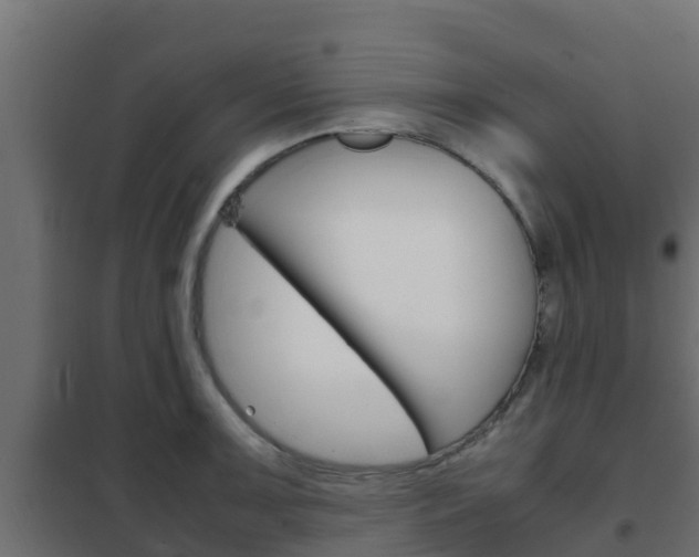 X0000102471091200808081003