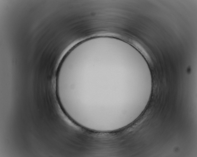 X0000102471092200808081003