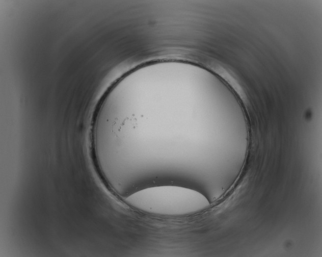 X0000102471093200808081003