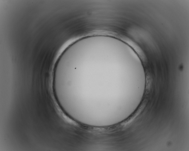 X0000102471094200808081003