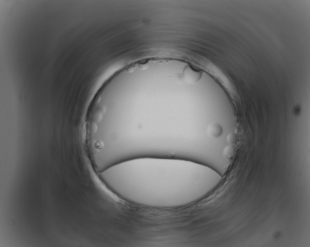 X0000102471095200808081003