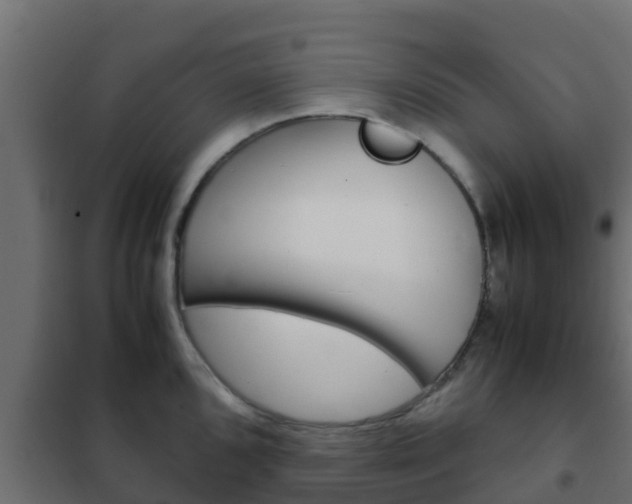 X0000102471096200808081003