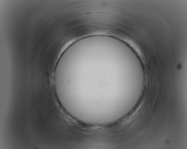 X0000102471097200808081003