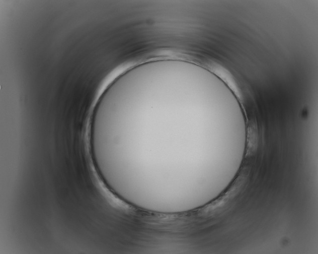 X0000102471098200808081003