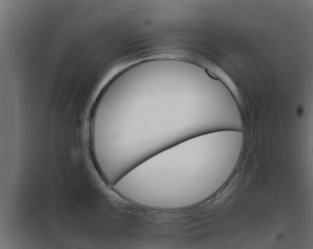 X0000102471099200808081003