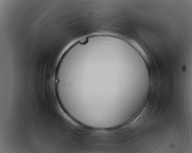 X0000102471100200808081003