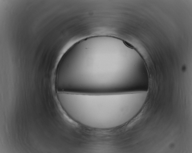 X0000102471102200808081003