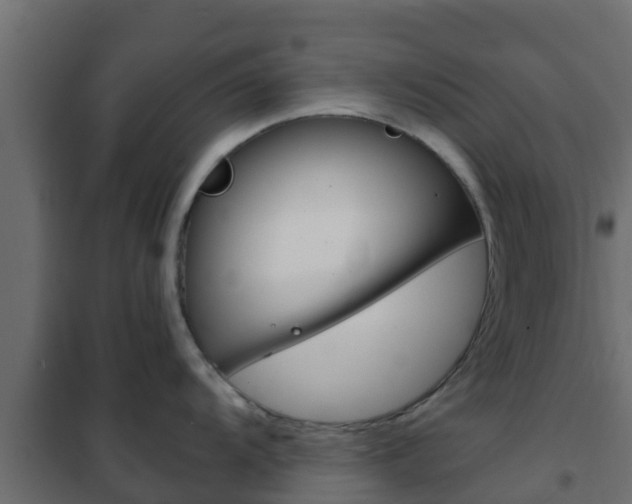 X0000102471104200808081003