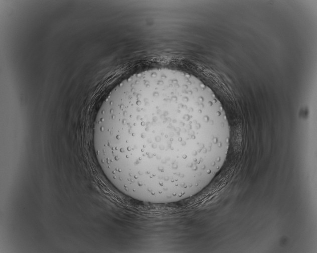 X0000102471105200808081002