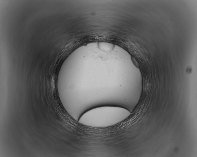 X0000102471106200808081002