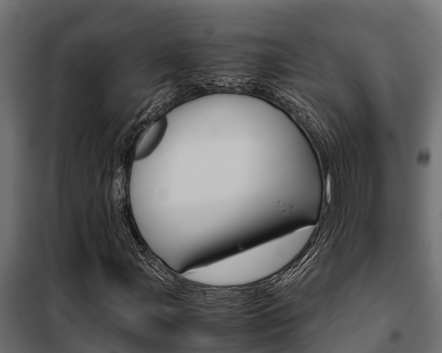 X0000102471107200808081002