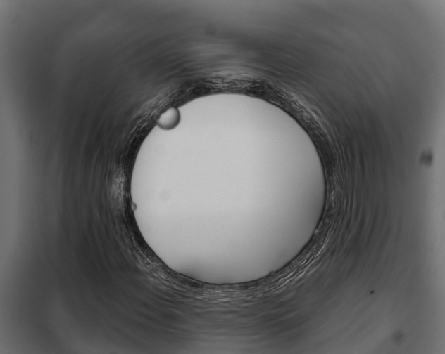 X0000102471108200808081002