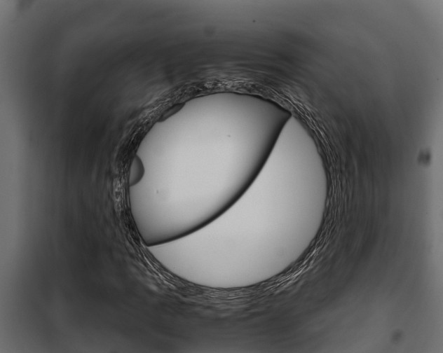 X0000102471109200808081002