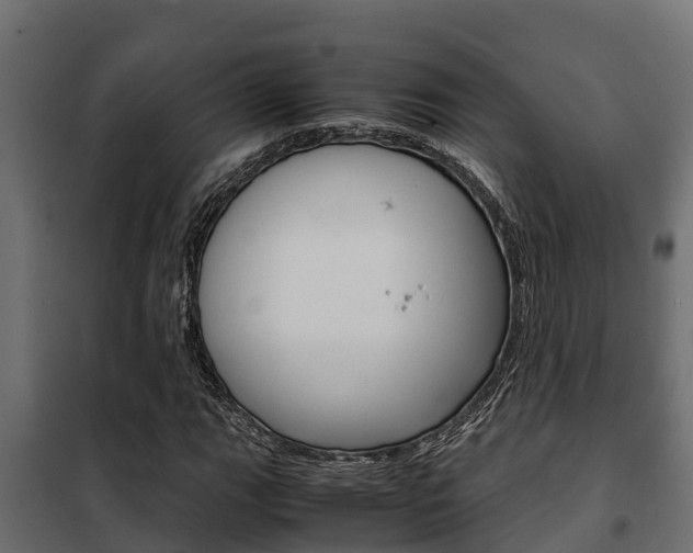 X0000102471111200808081002
