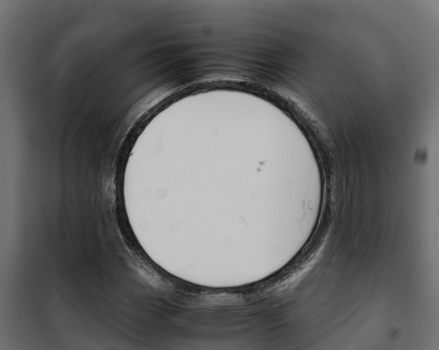 X0000102471113200808081003