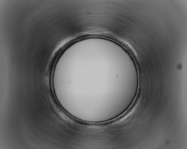 X0000102471114200808081003