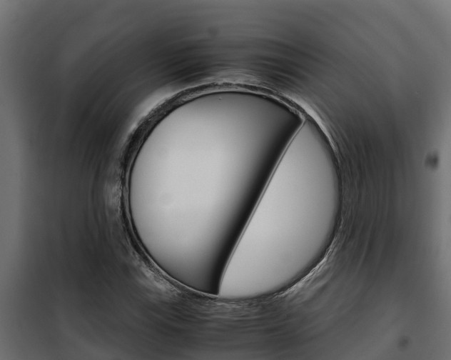 X0000102471115200808081003