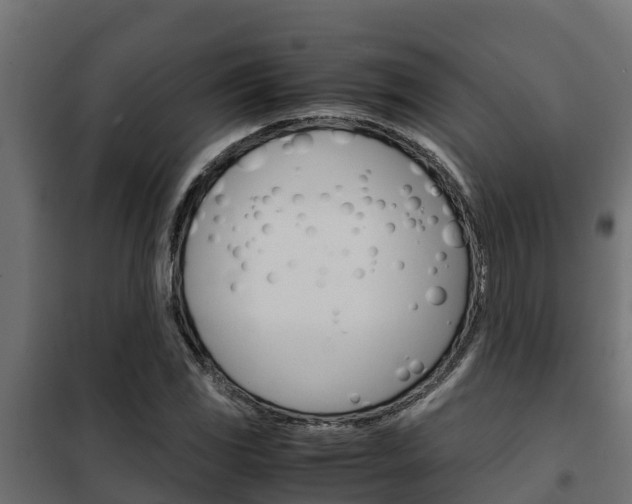 X0000102471117200808081003