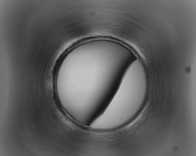 X0000102471118200808081003