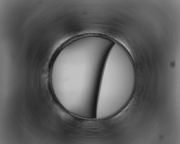 X0000102471119200808081003