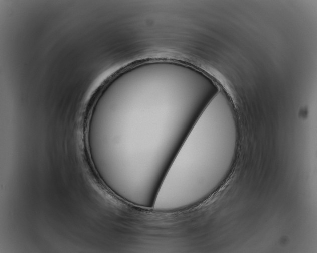 X0000102471120200808081003