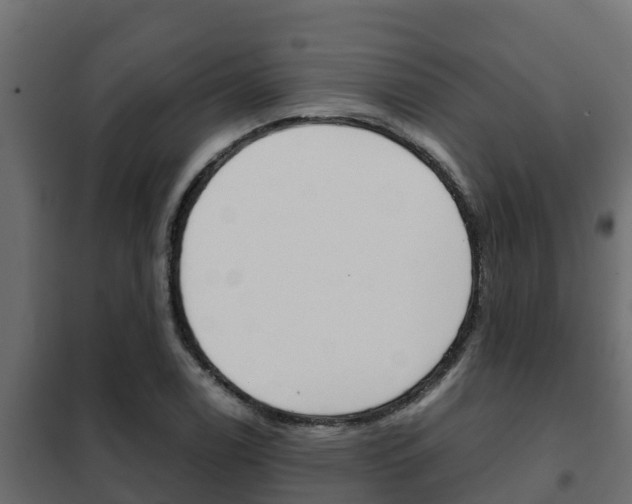 X0000102471122200808081003