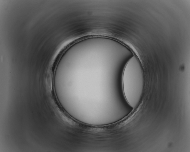 X0000102471123200808081003