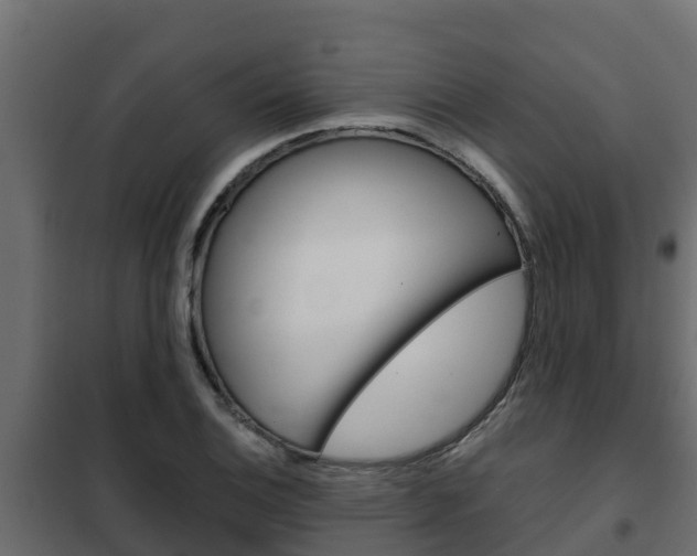 X0000102471124200808081003