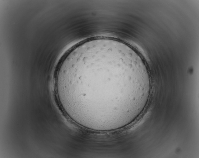 X0000102471125200808081003