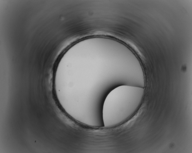 X0000102471126200808081003