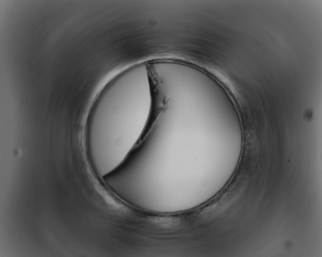 X0000102471127200808081003