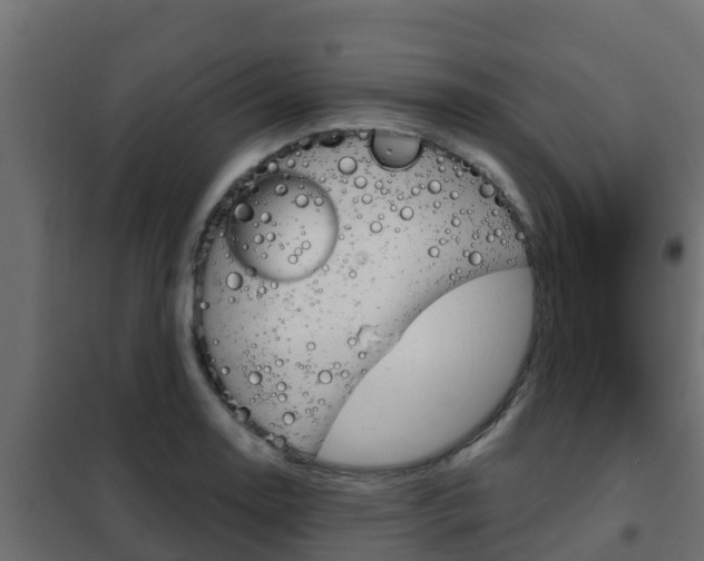 X0000102471130200808081003