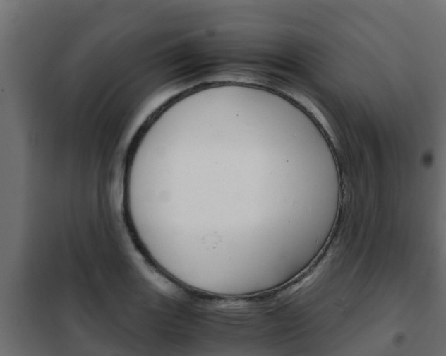X0000102471131200808081003