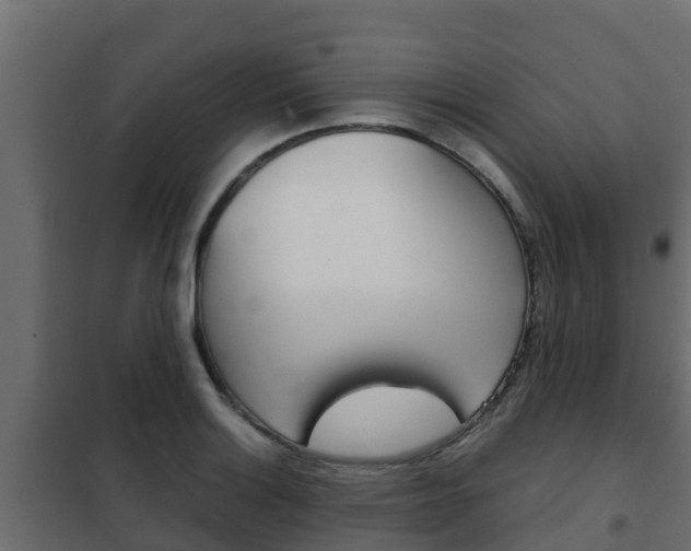 X0000102471132200808081003