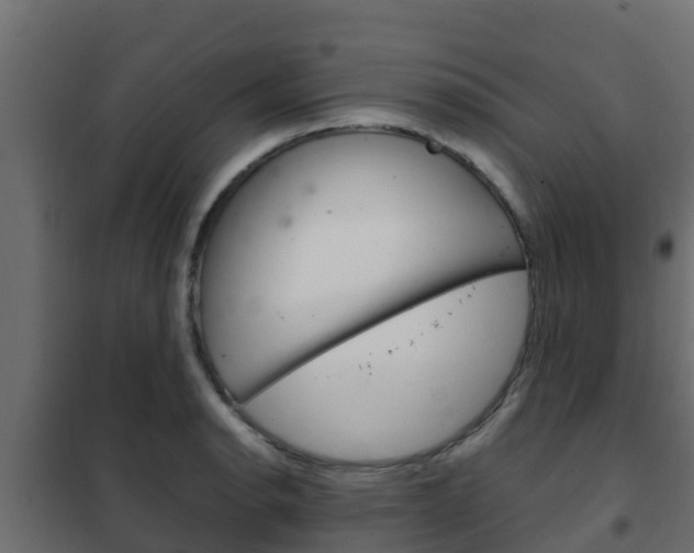 X0000102471134200808081003