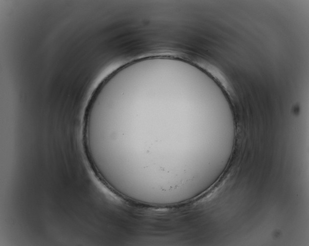 X0000102471135200808081003
