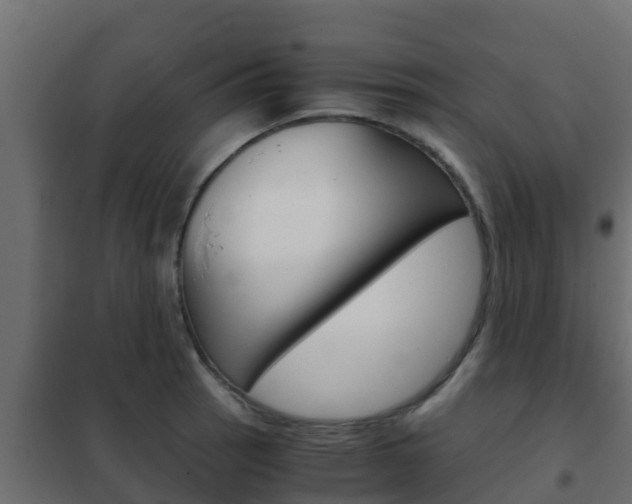 X0000102471137200808081003