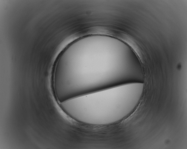 X0000102471139200808081003