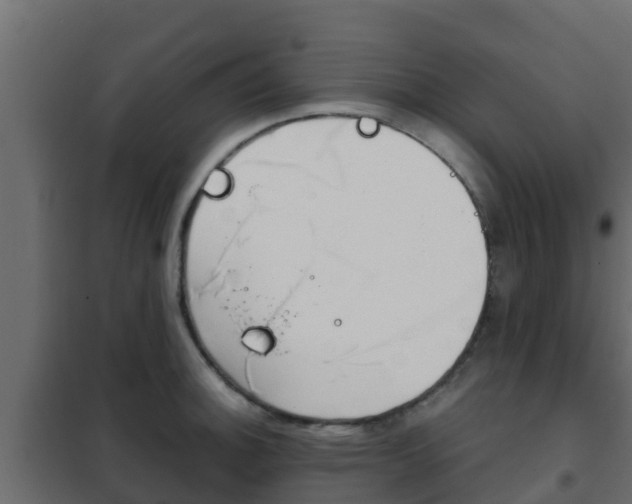 X0000102471140200808081003
