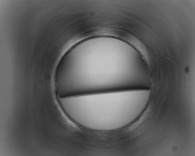 X0000102471141200808081003