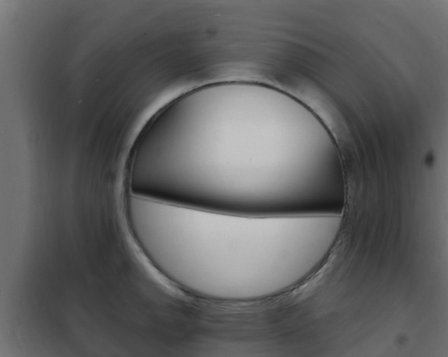 X0000102471142200808081003
